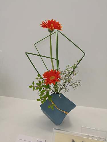 flower two red daisy flowers ornament