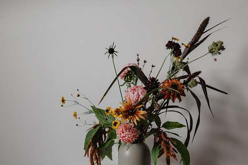pottery assorted flowers in vase beside wall flower