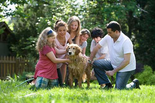 human group of people standing on green grass field during daytime person