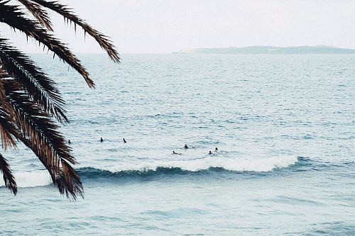 people swimming on sea during daytime