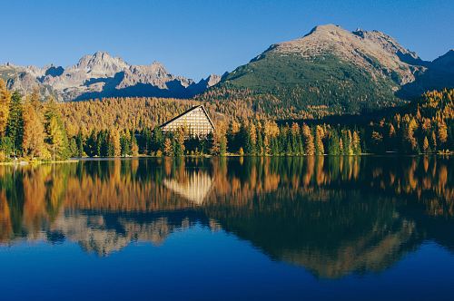 trees near mountain mirror reflection photography
