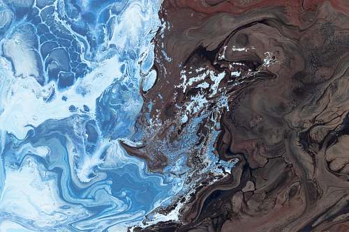 painting  sea life