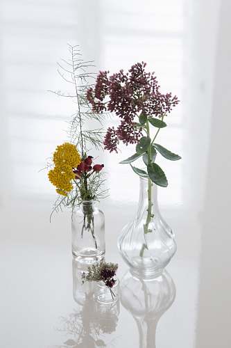 pottery red and yellow petaled flowers vase