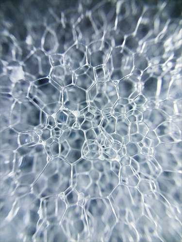 pattern  white