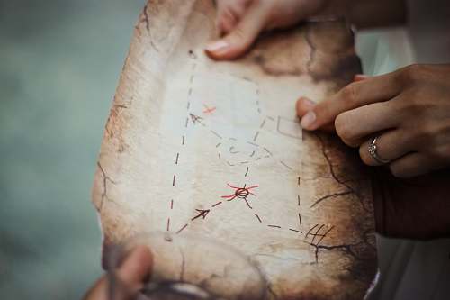 travel person holding brown map person
