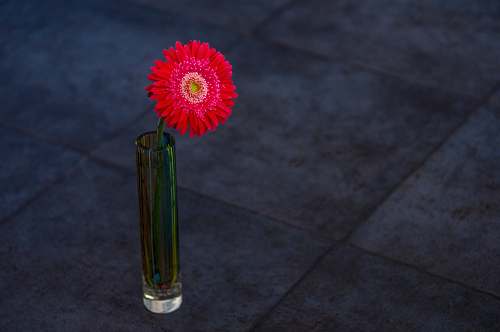 vase  jar