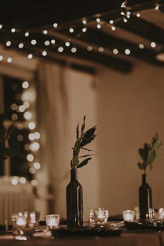 ornament brown bottles with plants on table blossom
