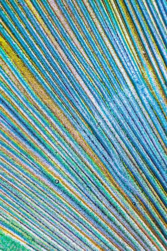 rug  background