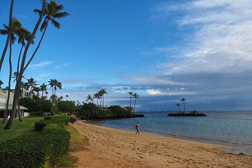 summer seashore under blue sky tropical