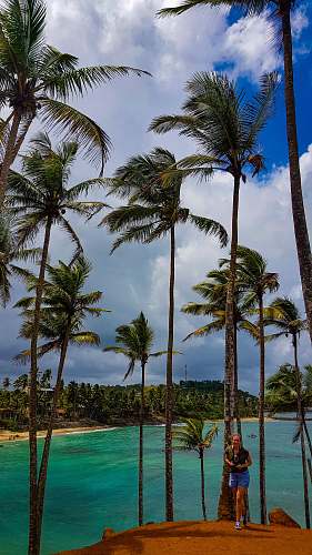 person woman standing beside green palm trees near body of water summer
