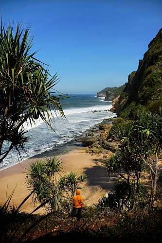 plant person standing near seashore human