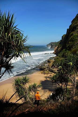 person person wearing orange pullover hoodie beside sea under clear blue sky plant