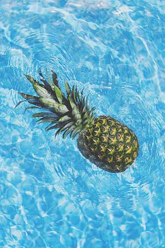 water pineapple in water pineapple