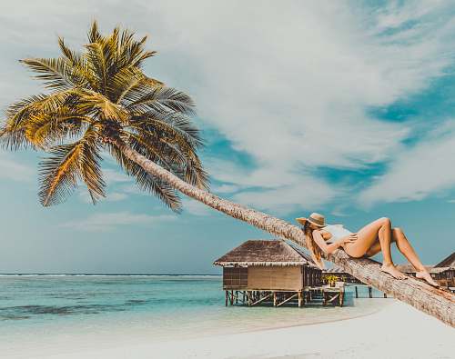 human woman lying on coconut tree trunk at beach person