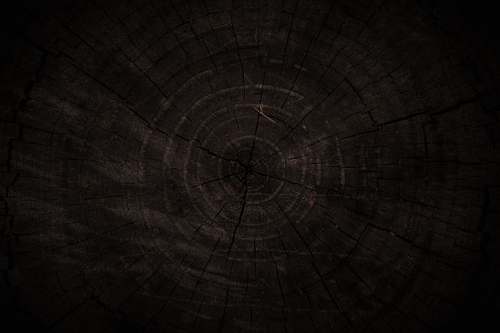 wood  texture