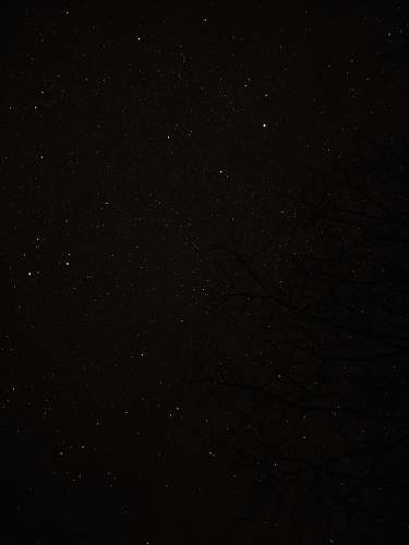 black view of starry night nature