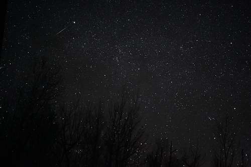 black white stars at night nature