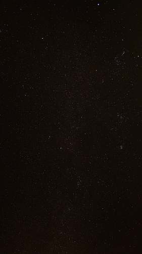 nature black and white polka dot textile universe