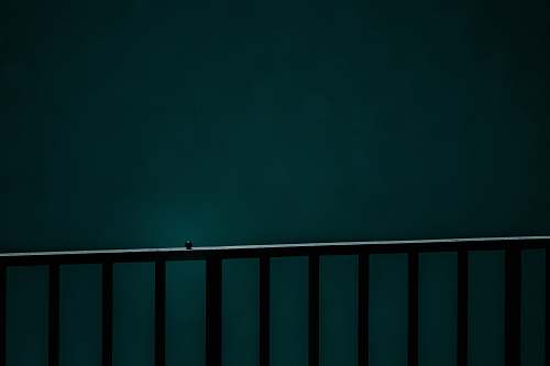 railing black metal railings banister