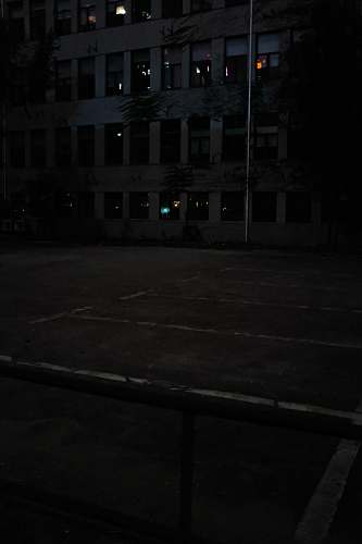 automobile building and trees during nighttime car