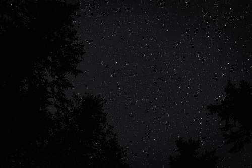 nature low angle photography of starry night black-and-white
