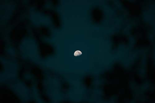 night moon photo moon