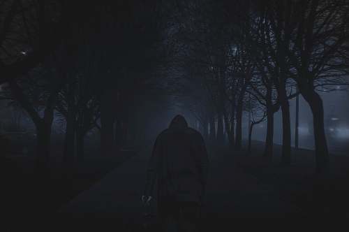 albania person walking between trees trees