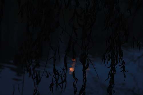night reflection of plants on body of water during daytime water