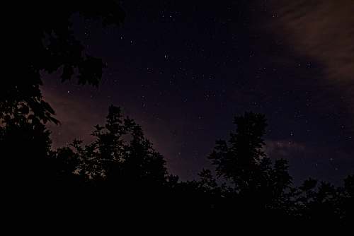 night silhouette photo of trees space