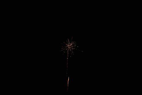 nature white fireworks outdoors