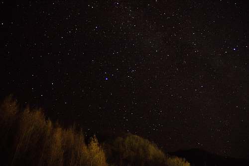 nature worms-eye view of night stars outdoors