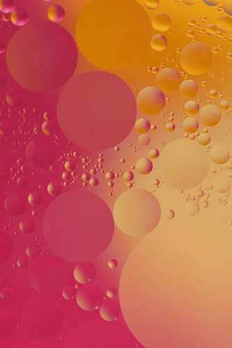 macro pink and orange bubble digital wallpaper macro photo