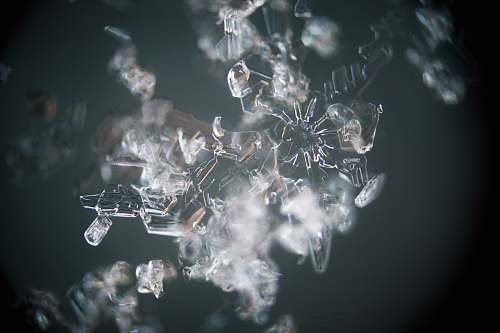 snowflake close-up photo of white frosted snow snow