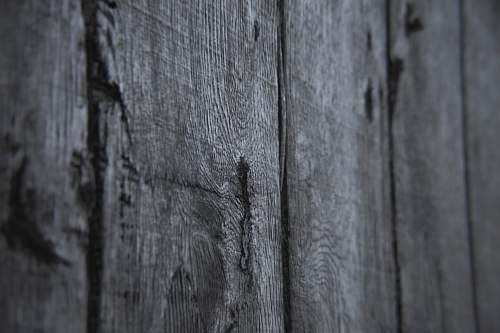 illinois gray wooden wall united states
