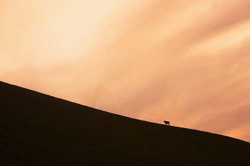 sand  soil