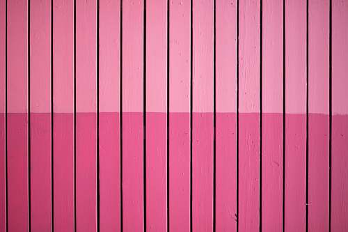 texture closeup photo of pink paint plank wall background