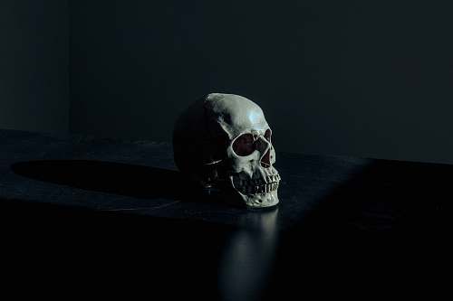 dark white and black skull figurine on black surface death