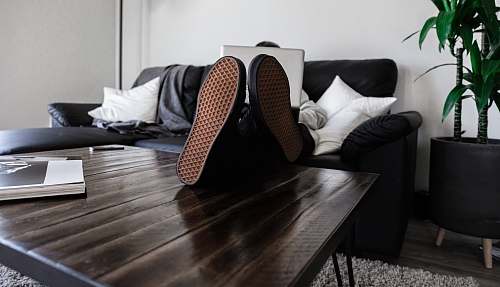 home person sitting on sofa resting its feet on top of coffee table while using laptop plant
