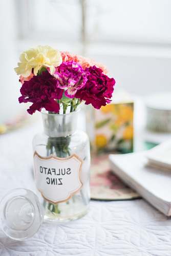 carnation pink, red, and yellow flower arrangement in clear glass vase near white book flora