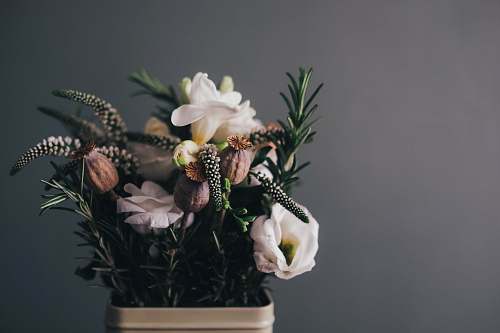 floral white petal flowers in gray pot in room flower arrangement