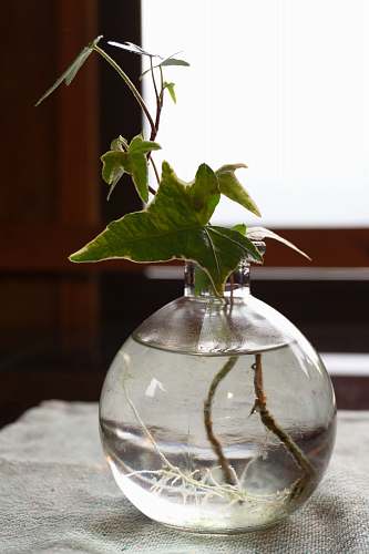 jar  pottery