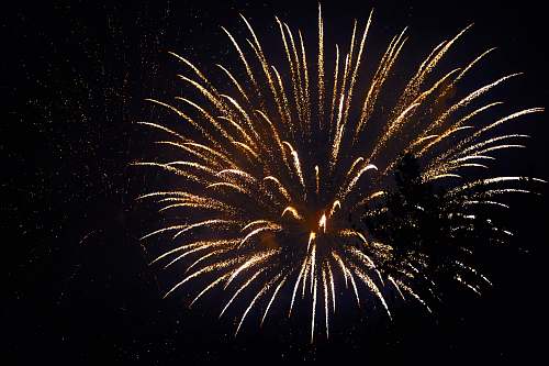 night firework displays fireworks