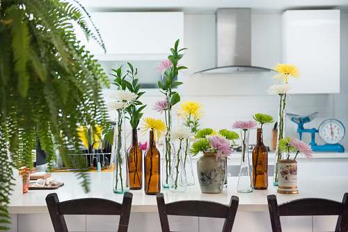 vase green leafed plants on top of white wooden table interior design