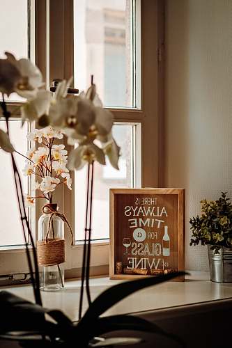 flower There is always time for a glass of wine frame near window blossom