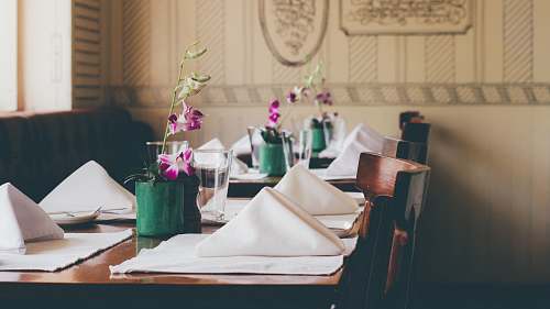 vase purple petaled flower on table with table napkins plant